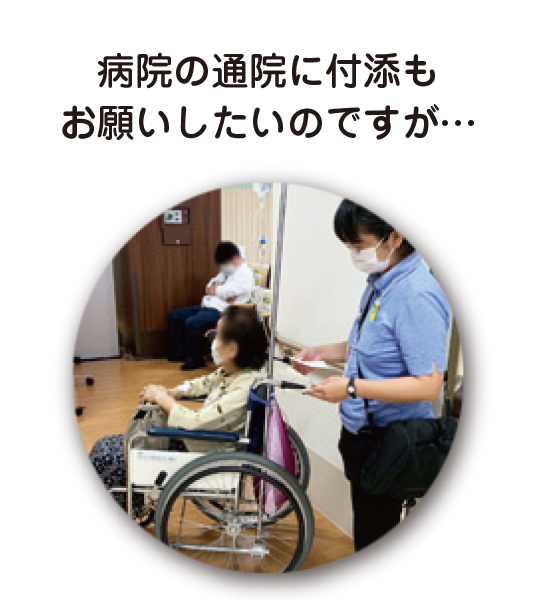プラス介護タクシーの実績