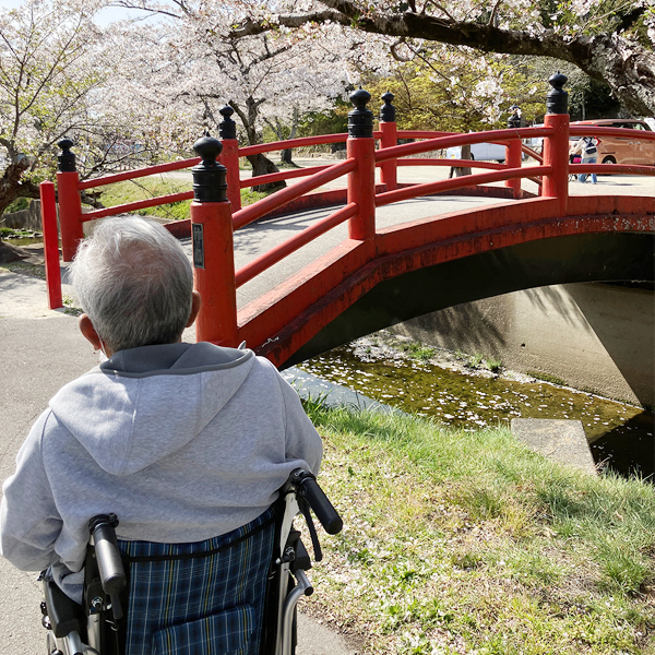 プラス介護タクシーの実績、お花見に付添
