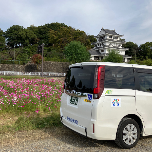 プラス介護タクシーの実績、買い物サポート